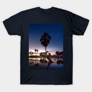 Sunset Palm trees T-Shirt